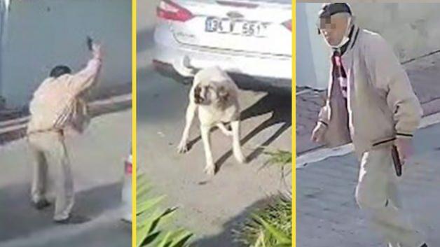 Yaşlı adam kendisine saldıran köpeği vurdu